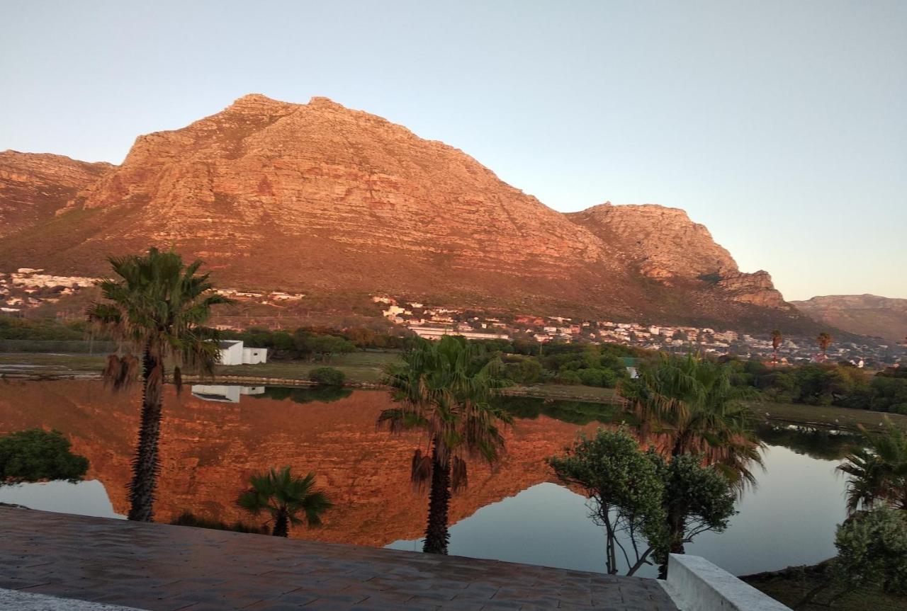 Vlei Cove Guesthouse Cape Town Ngoại thất bức ảnh