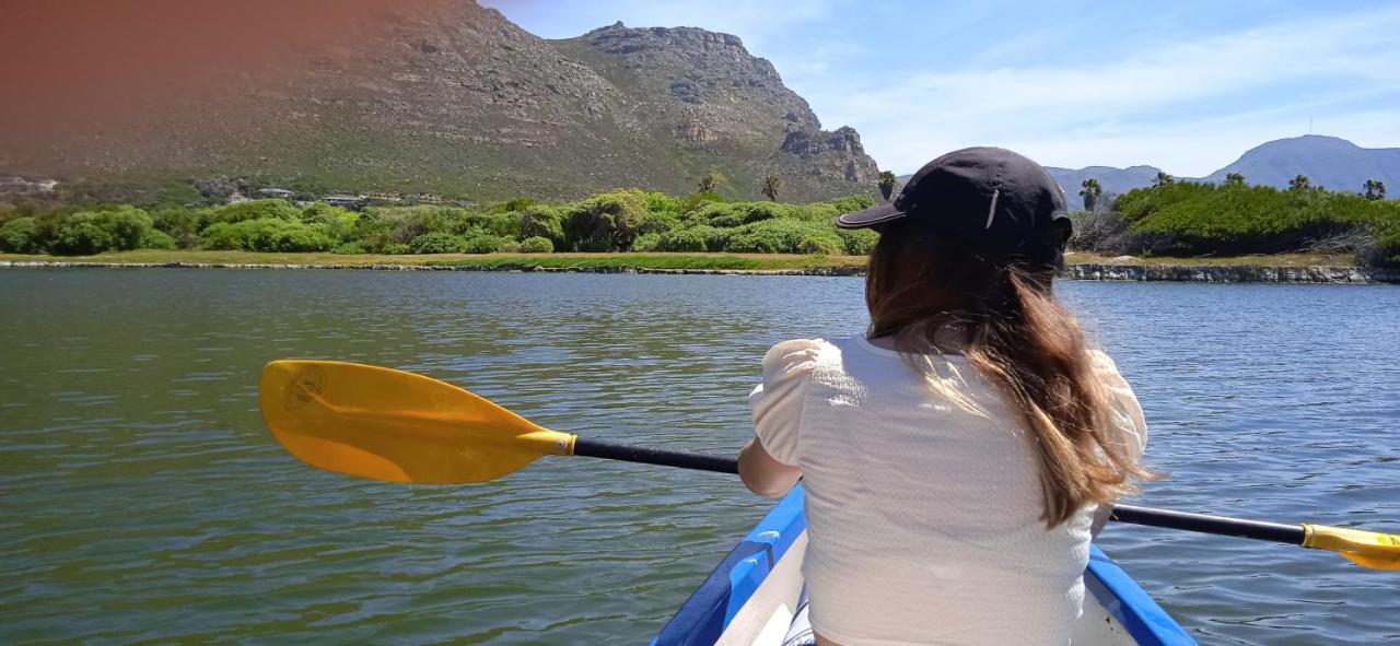 Vlei Cove Guesthouse Cape Town Ngoại thất bức ảnh