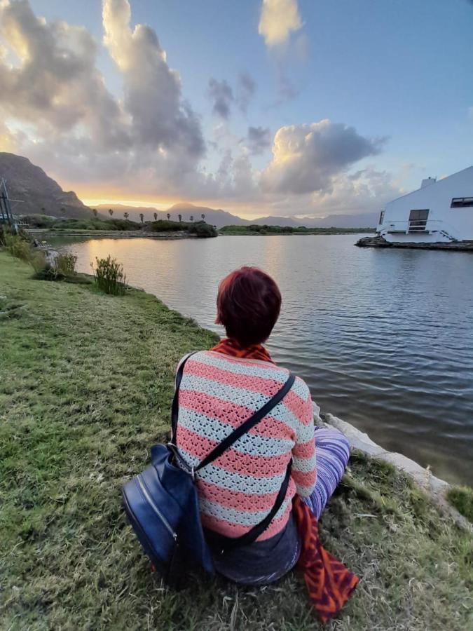 Vlei Cove Guesthouse Cape Town Ngoại thất bức ảnh