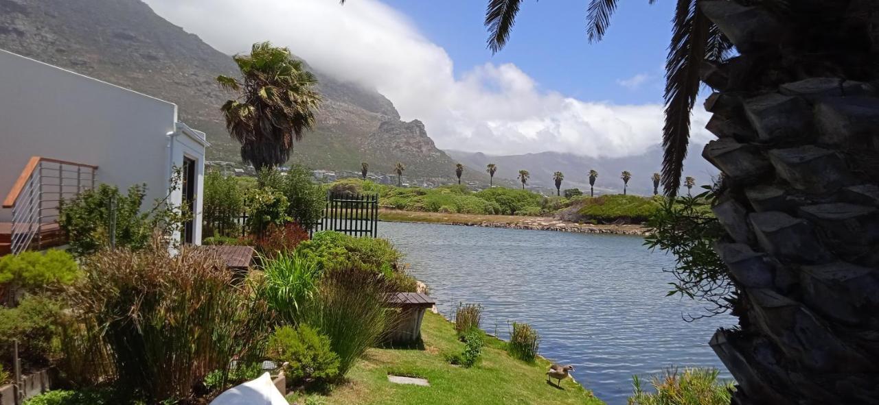 Vlei Cove Guesthouse Cape Town Ngoại thất bức ảnh