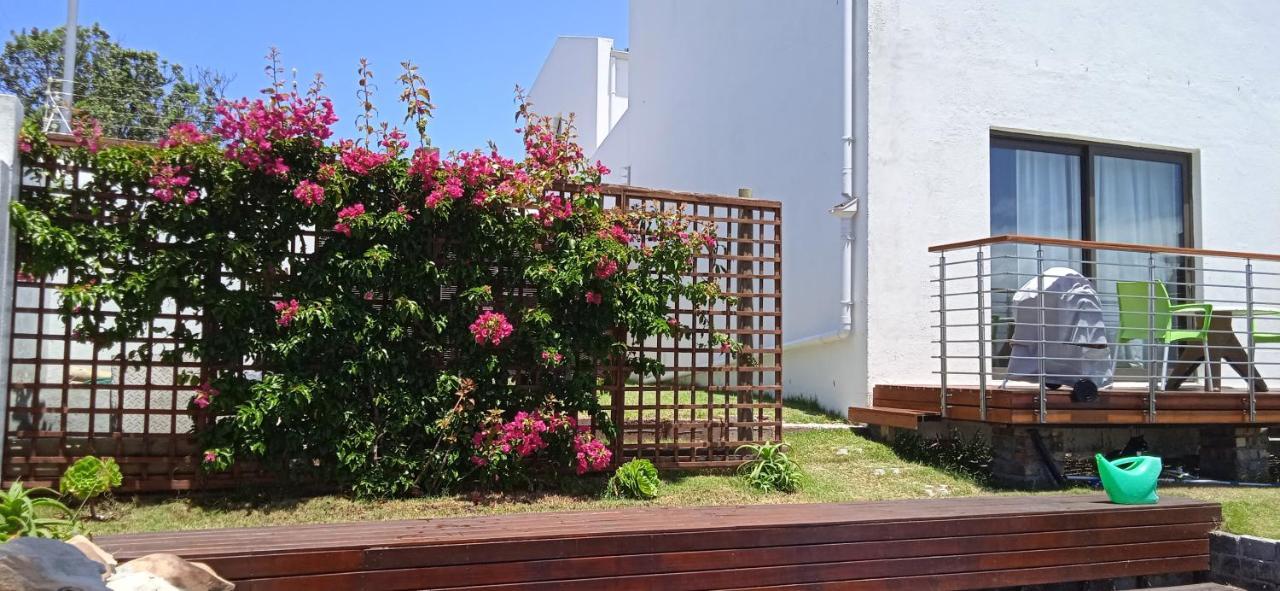 Vlei Cove Guesthouse Cape Town Ngoại thất bức ảnh