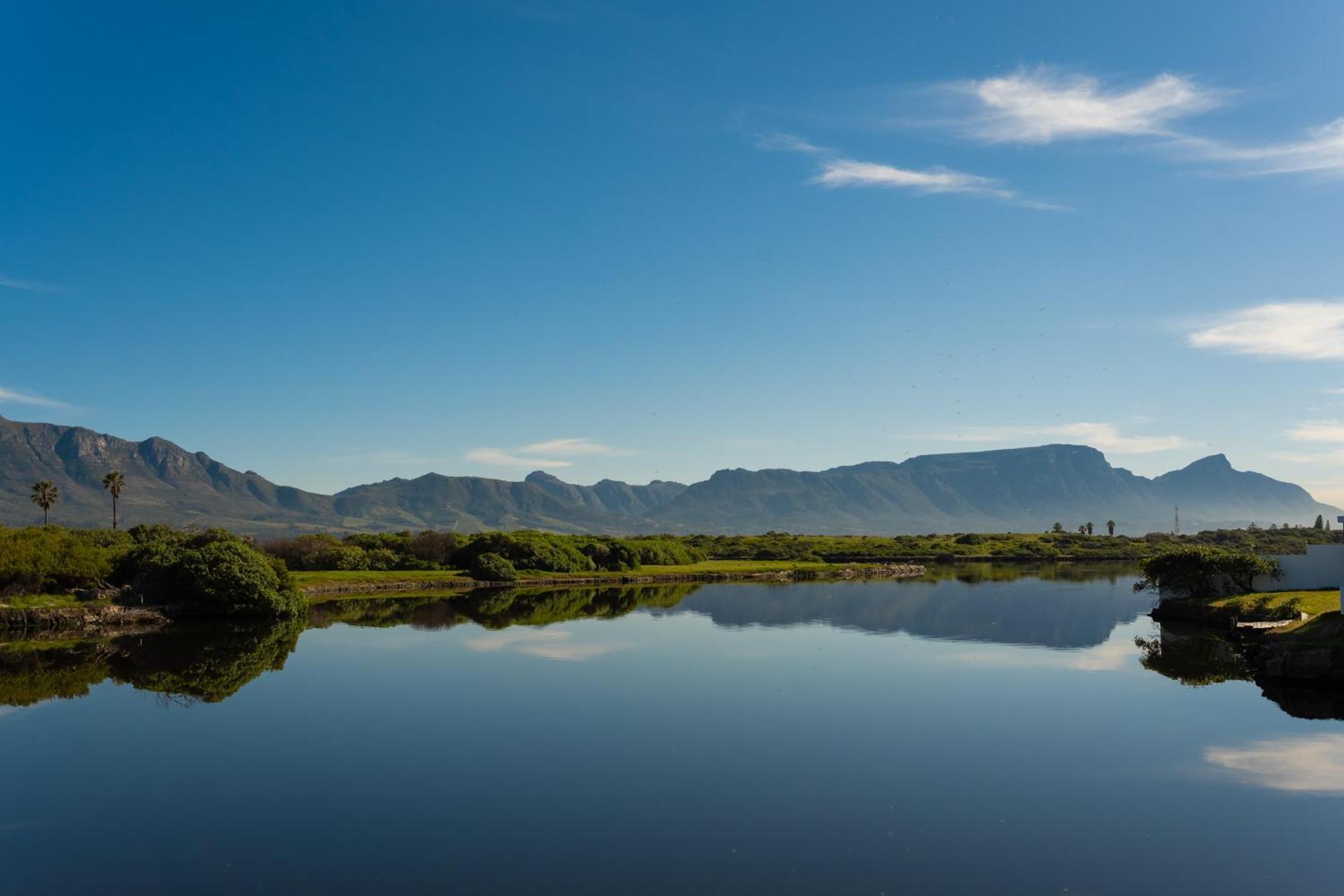 Vlei Cove Guesthouse Cape Town Ngoại thất bức ảnh